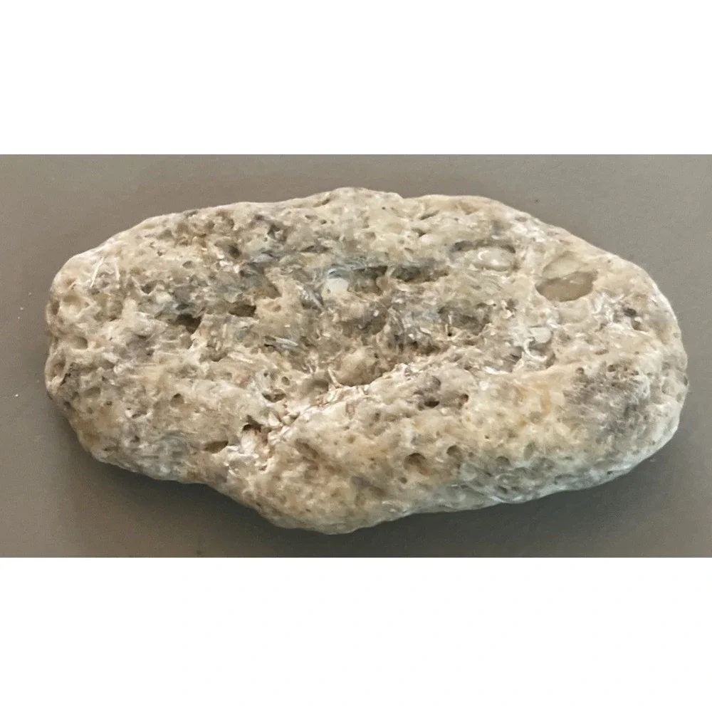 Fossilized Coral Natural Surf Tumbled 5.5